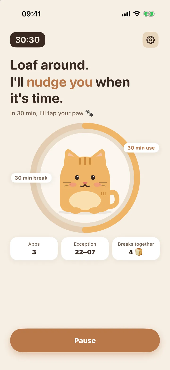 Loaf theme home with the cat in the ring